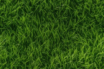 Fototapeta premium Background texture of green grass. Background texture and pattern of a green lawn. Close up. Generative AI