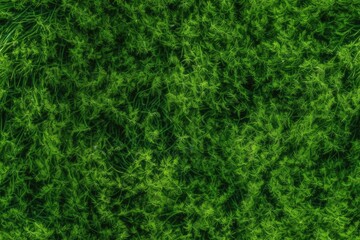 texture of green grass as a background Design element Top view of a grass garden An excellent idea for creating a lawn and training football field Green lawn pattern on golf courses; textured grass