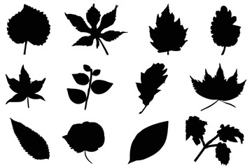 Set of leaves silhouettes. A set of leaf silhouette vector illustrations