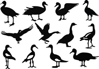 Set of goose silhouettes. A set of goose silhouette vector illustrations.