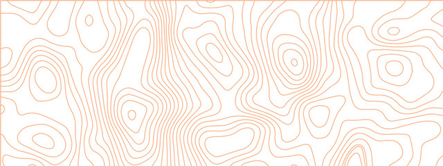 Fototapeta premium Topographic background and texture, monochrome image. 3D waves, White wave paper curved reliefs abstract background, Abstract topographic contours map background, Vector contour topographic map.