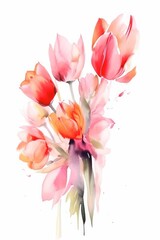 A digital watercolor botanical  illustration of tulips on a plain white background. Generative AI