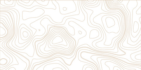 Topographic background and texture, monochrome image. 3D waves, White wave paper curved reliefs abstract background, Abstract topographic contours map background, Vector contour topographic map.