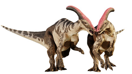 Parasaurolophus, dinosaur couple the from Late Cretaceous Period, isolated on transparent background