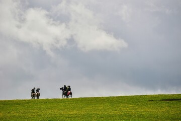 Horses grazing on the Qiongkushitai grassland in Xinjiang