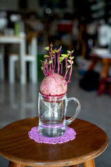 Sweet potato germination technique in a glass jar isolated on background.