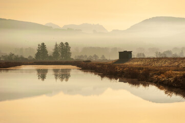 Scenic Sunrise On A Wetland In The Skagit Valley. North Cascade Mountains are reflected  in the...