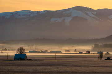 Fototapeta premium Springtime Sunrise in the Skagit Valley With the Cascade Mountains in the Background. A little ground fog adds to the atmosphere in this agricultural area of Washington state.
