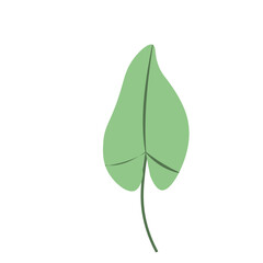 Tropical Leaf Element