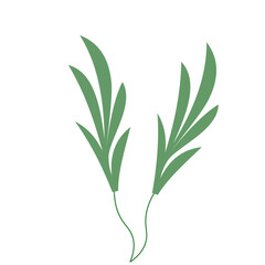 Fototapeta premium Tropical Leaf Element