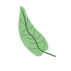 Tropical Leaf Element