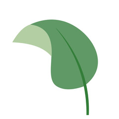 Tropical Leaf Element