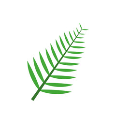 Tropical Leaf Element