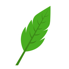 Tropical Leaf Element