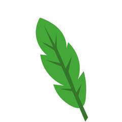 Obraz premium Tropical Leaf Element