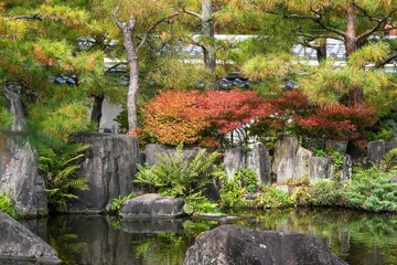 Fototapeta na wymiar きれいに色づいたドウダンツツジのある秋の日本庭園の情景＠兵庫