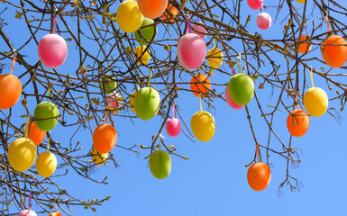 Green, yellow and pink Easter eggs on tree branches against a blue sky