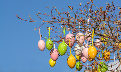Branch with decorative Easter eggs against the blue sky