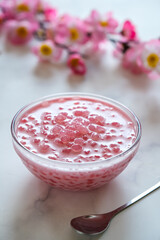 pearl sagoo coconut milk in bowl