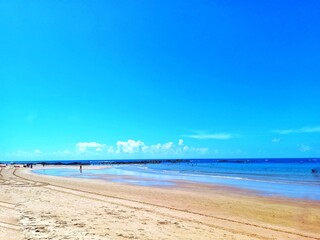 Beautiful Piatã Beach, Salvador, Bahia, Brazil on a summer morning. Fresh air, gentle wind, blue sky with few clouds, low tide, people walking in the distance.