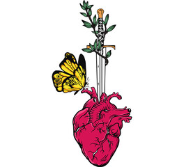 Human heart with butterfly. Colours vector illustration
