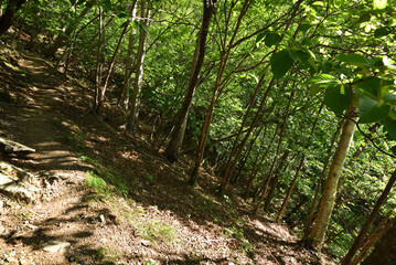Climbing Mt. Nakakura, Tochigi, Japan