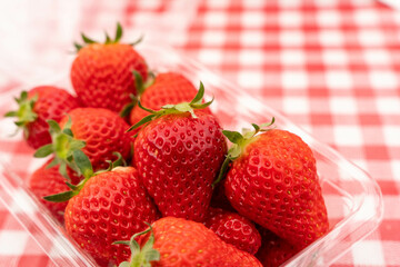 摘みたての真っ赤ないちご