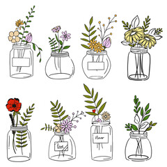 Flowers in a transparent jar. Sketch of a flower in a jar. Flowers in a pot for a spring card.
