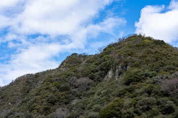 Fototapeta na wymiar 武田尾の山と青空の風景