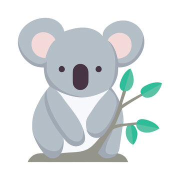 cute koala in branch