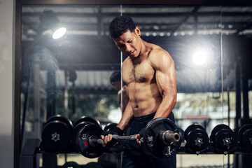 Fototapeta na wymiar Asian man bodybuilder shirtless effort weight training biceps curl with barbell in fitness gym. Weight training exercise in concept of health and wellness.