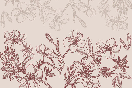 Set of Beautiful Azalea Flower Line Art Illustration