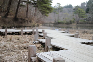 神戸森林植物園１１