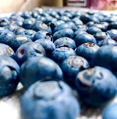Many Blueberries