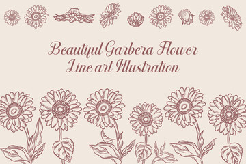 Set of Beautiful Gerbera Flower Line Art Illustration