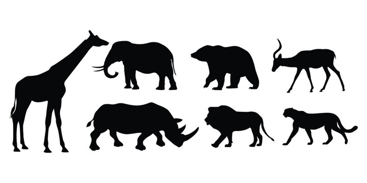 Wild animal Silhouettes Isolated on White Background Vector