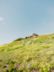 Obraz premium San Francisco