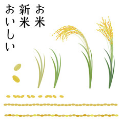 稲穂のアイコン、米粒の罫線のベクターイラストセット