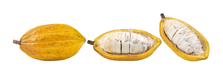 Fresh cocoa isolated on  transparent png