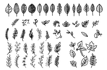 set of hand drawn simple leaves doodles