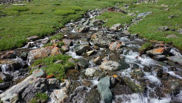 Video of waterfall on Altai river Yarlyamry. The cascade on the stream is surrounded by alpine forb meadows.