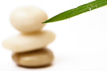 green leaf with dewdrops and stacked stones, zen picture