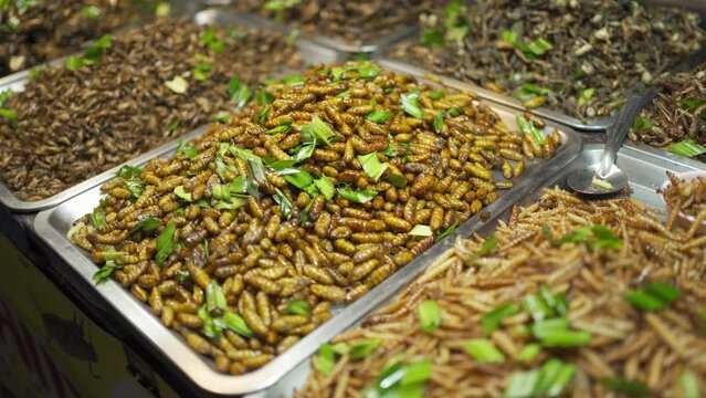 Fried insects , crickets, silkworms, grasshoppers, water bugs and other various insects street food in a local market seen around in Bangkok, Thailand.