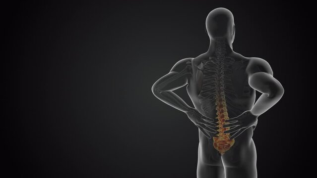 Lower back joint pain medical concept