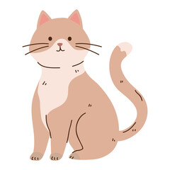 beige and white cat