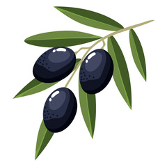 Obraz na płótnie Canvas branch with black olive seeds