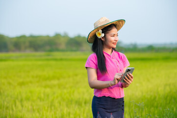 Beautiful asian woman working laptop outdoors in rice fields.