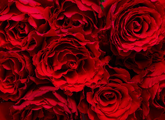 Bouquet of dark red roses close up