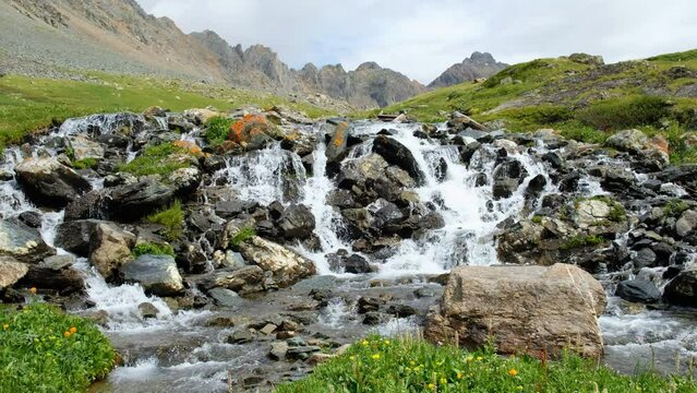 Video of Altai river Yarlyamry. The stream is surrounded by alpine forb meadows.