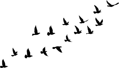 Fototapeta na wymiar Flying birds silhouettes pattern wallpaper. PNG transparent. isolated bird flying. tattoo design. template for card, package, and wallpaper.